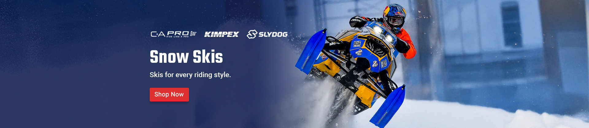 Snow Skis