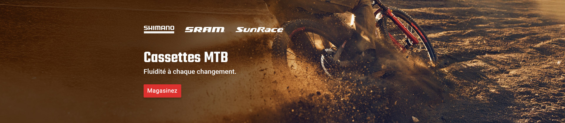 Cassettes MTB