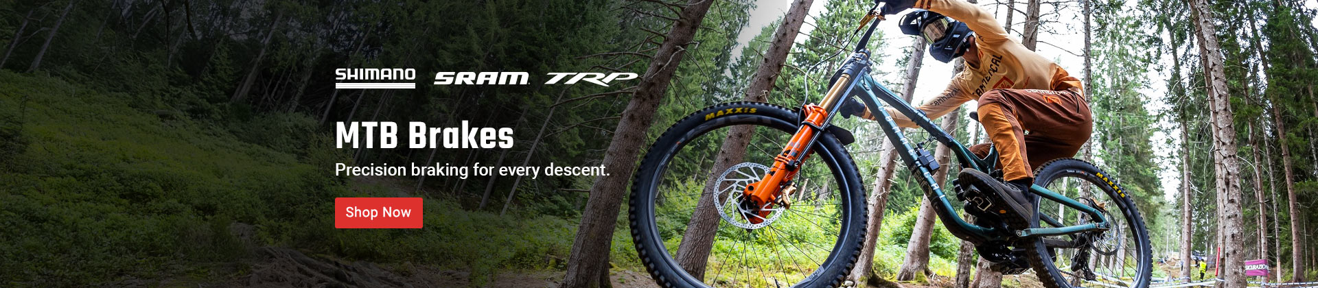 MTB Brakes