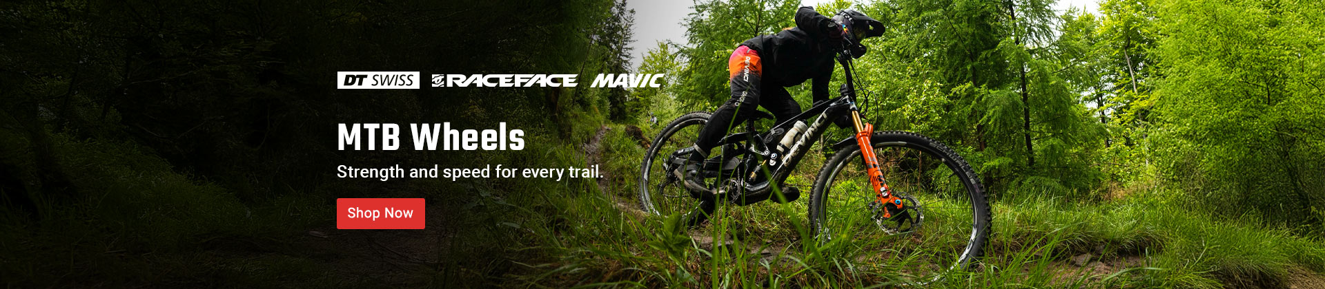 MTB Wheels