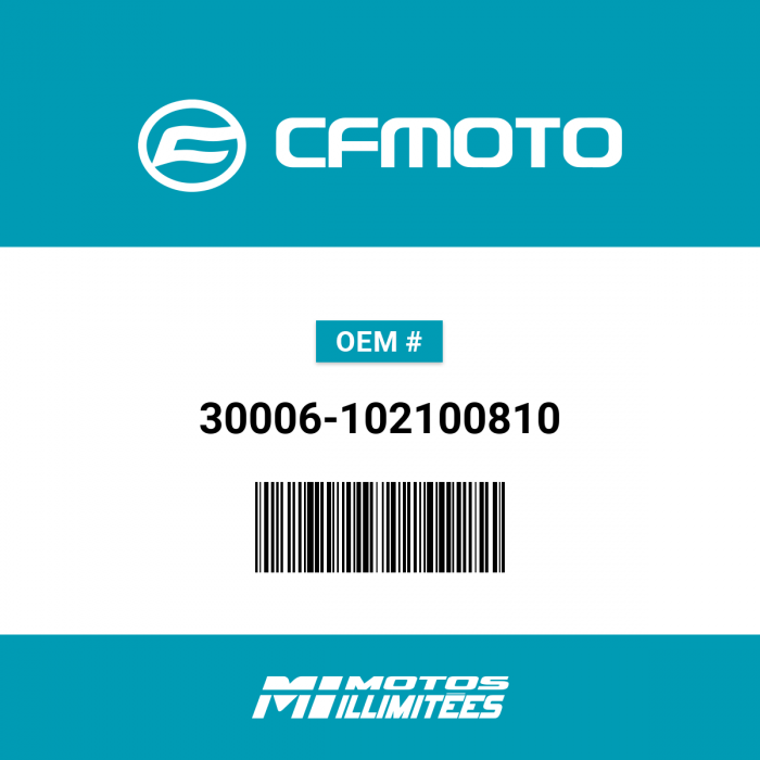 Image of : CFMoto Bolt - M10X1.25X100 - 30006-102100810