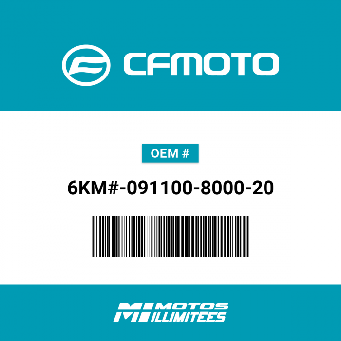 Image of : CFMOTO - Plaque de Montage - 6KM#-091100-8000-20