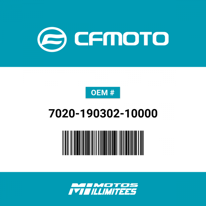 Image of : CFMoto EPA - 7020-190302-10000