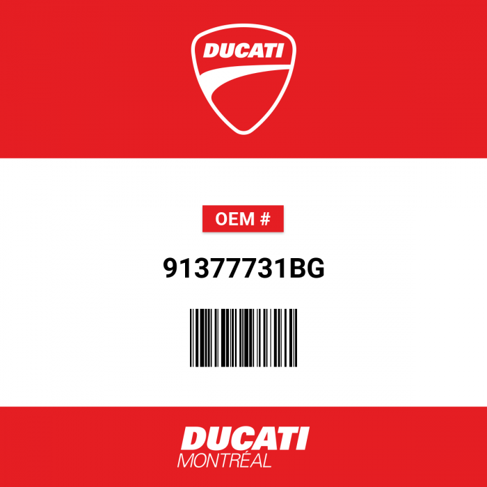 Image of : Ducati Owner's Manual - 91377731BG