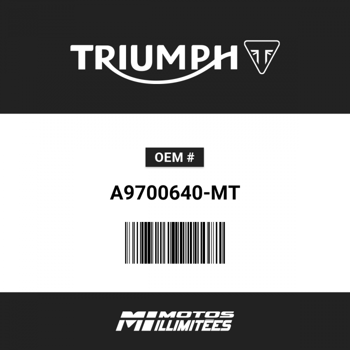 Image of : Triumph Flyscreen Kit Matte Silver Ice - A9700640-MT