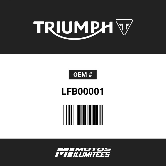 Triumph Key Sunk - LFB00001 | FortNine