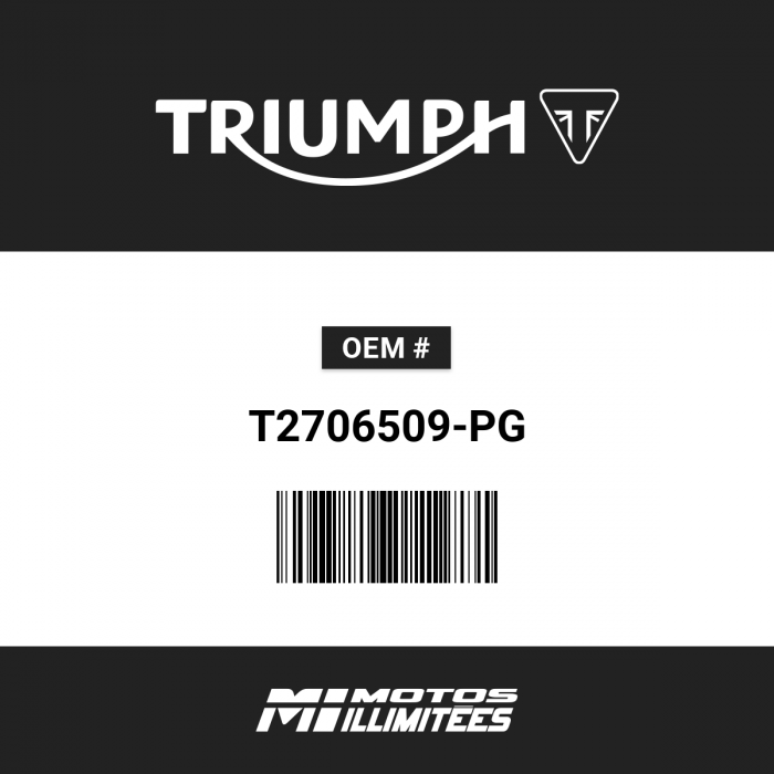 Image of : Triumph Bowl Headlight Painted Jet Black - T2706509-PG