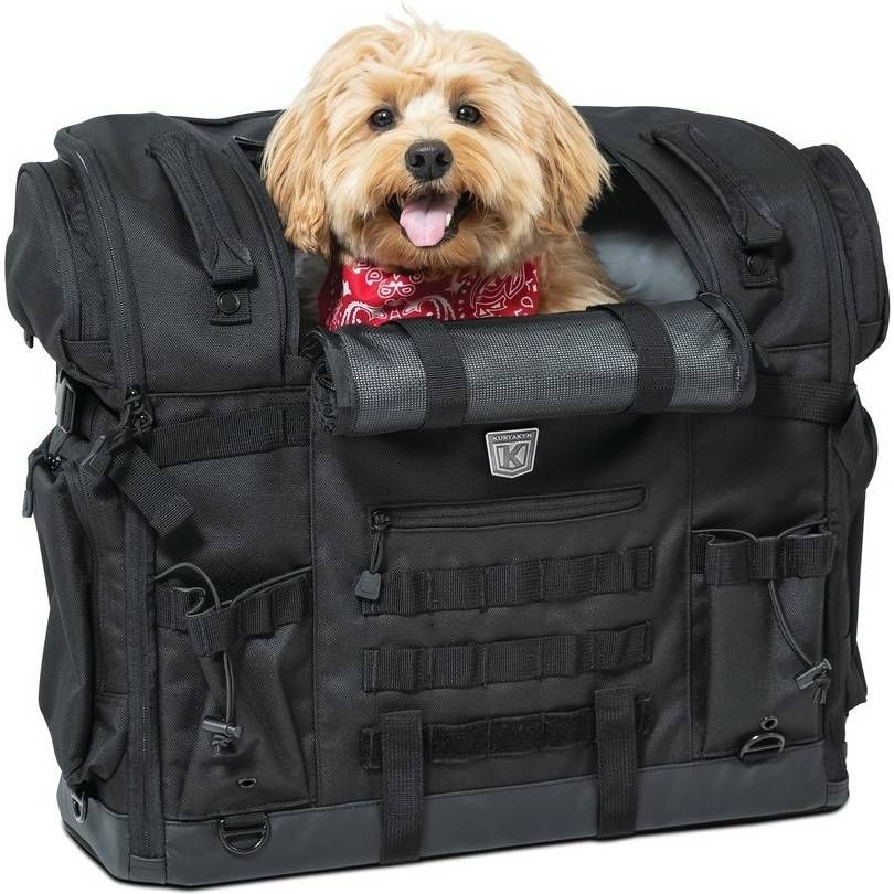 Bag pet best sale