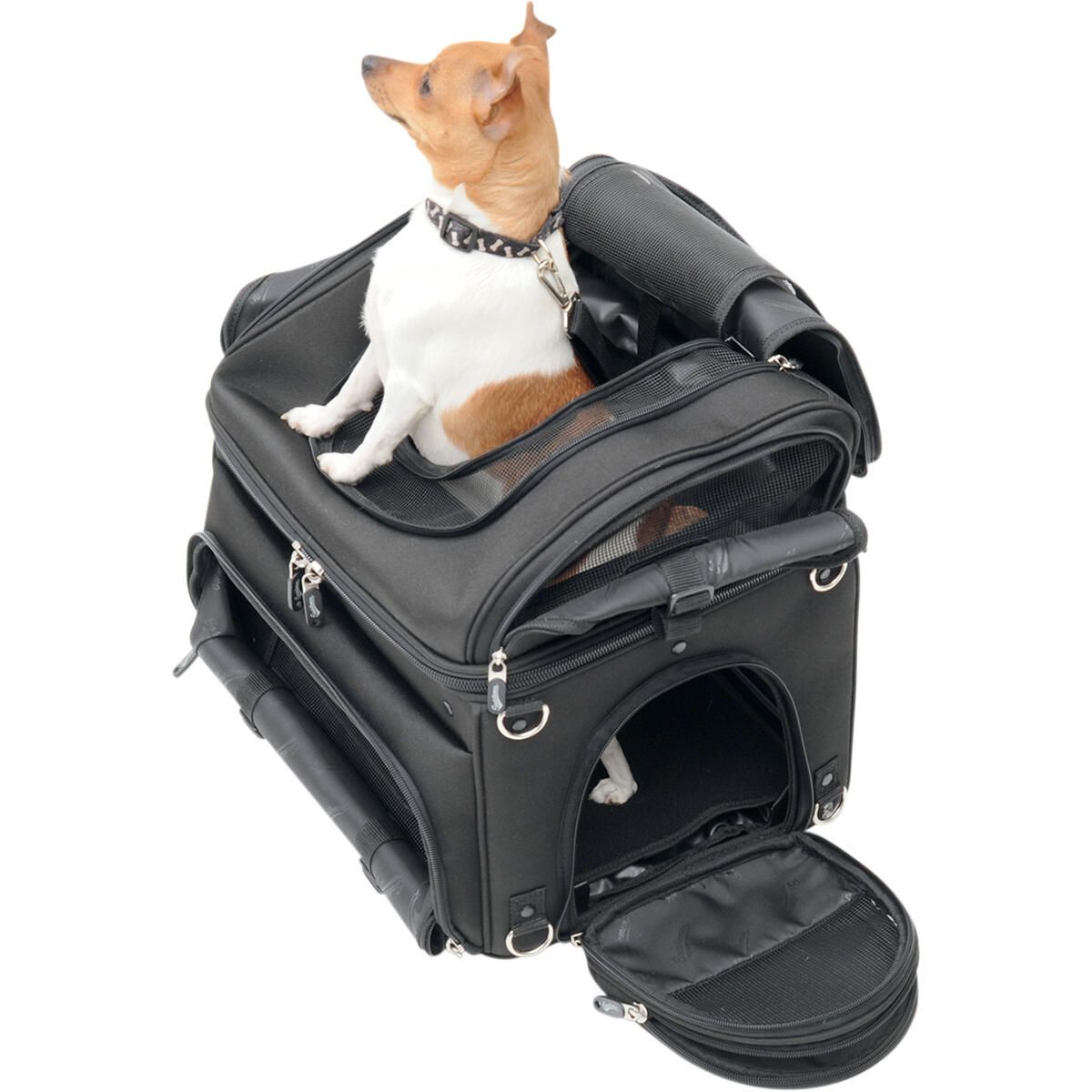 Saddlemen PC3200C Pet Voyager Bag FortNine Canada