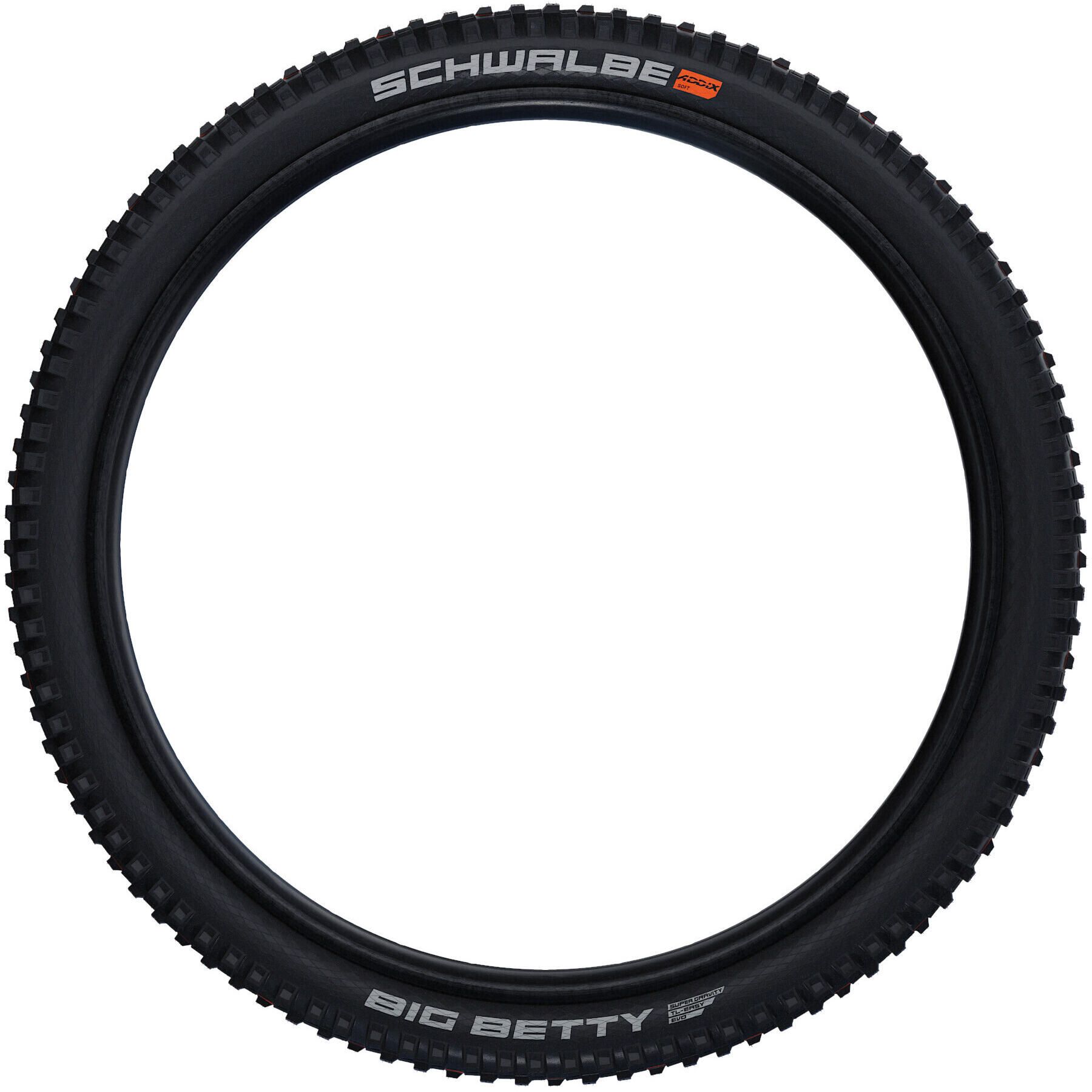 Schwalbe Big Betty Super Gravity MTB Tire | FortNine