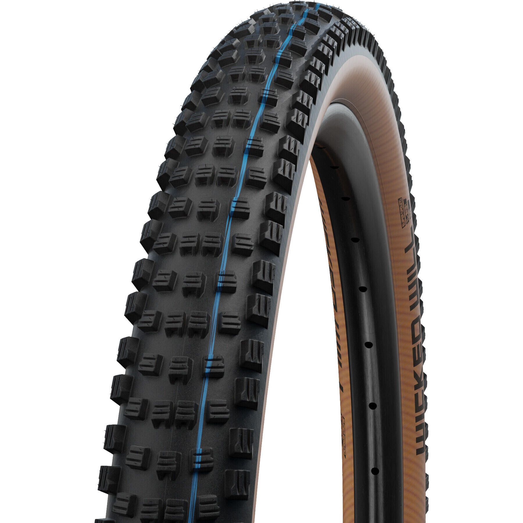 Schwalbe Wicked Will Super Race MTB Tire | FortNine