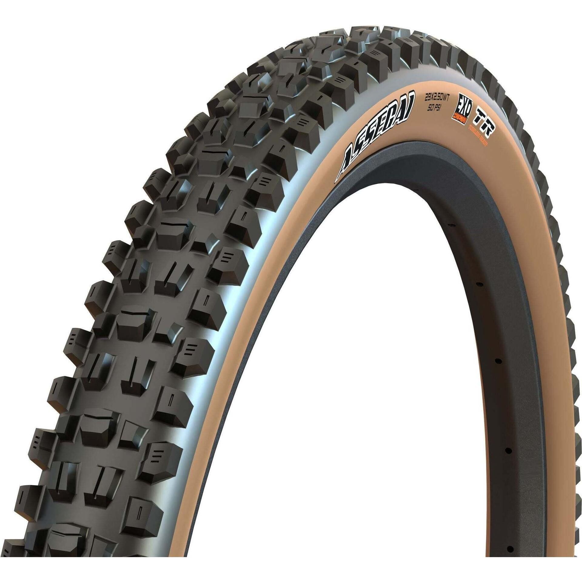 Maxxis Assegai EXO MTB Tire | FortNine