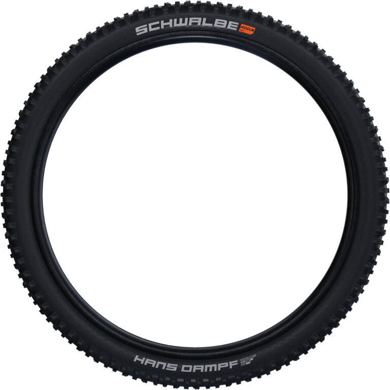 Schwalbe Hans Dampf Super Trail MTB Tire | FortNine