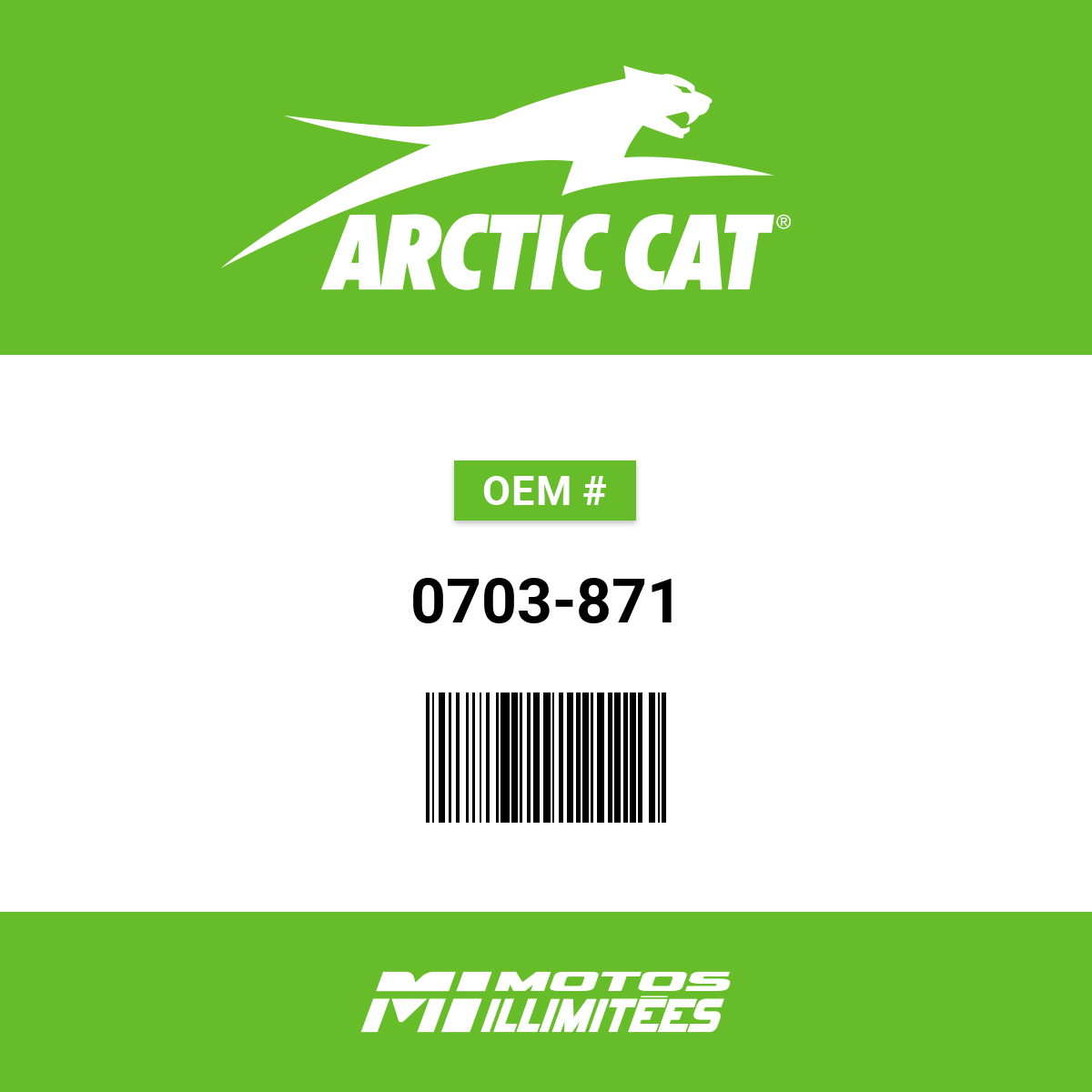 Arctic Cat Skag 4
